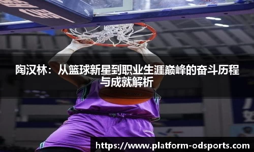 陶汉林：从篮球新星到职业生涯巅峰的奋斗历程与成就解析